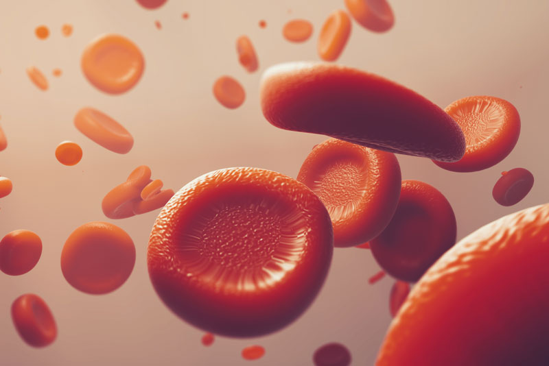 blood cells graphic